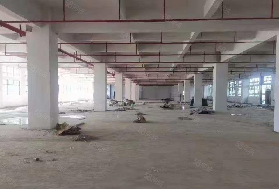 清溪镇国有红本工业用地全新独栋厂房出租21826平 可以分租