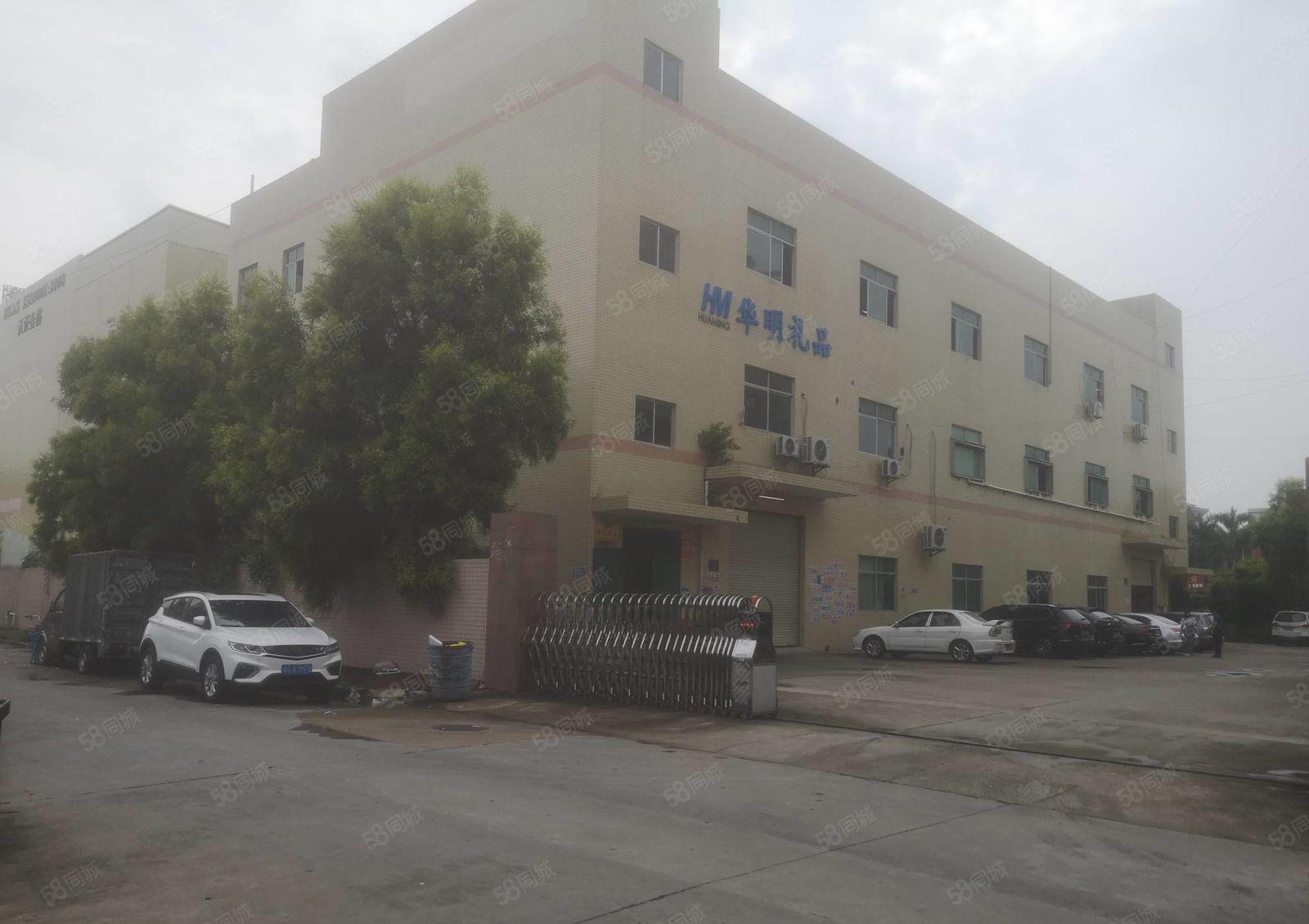 清溪大利村 原房东新出楼上600平厂房出租 带现成豪华装修