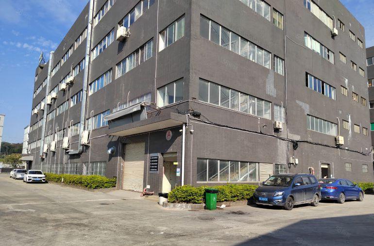 清溪镇三中村 主路边新出楼上1800平低价出租 带装修办公室