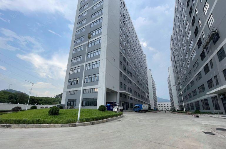 清溪全新厂房出租，每层6部电梯，园区配套齐全！