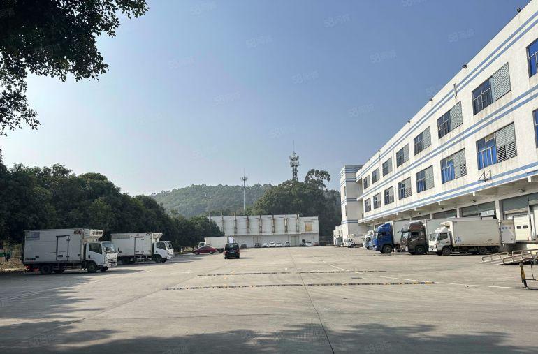 适合电商仓库物流客户独院3万平大小可分厂房仓库出租