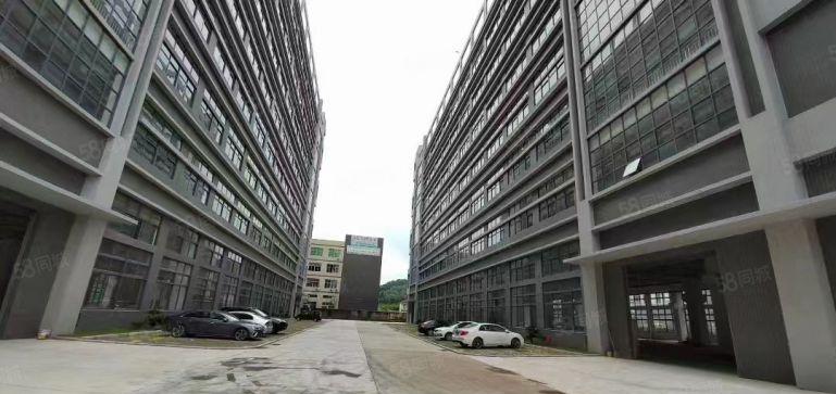 1450平全新厂房低价出租！原房东红本高新厂房大小可分租！