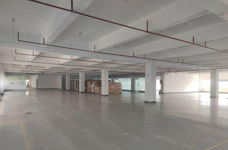 清溪镇青皇村 原房东标准楼上1680平低价出租 带装修办公室