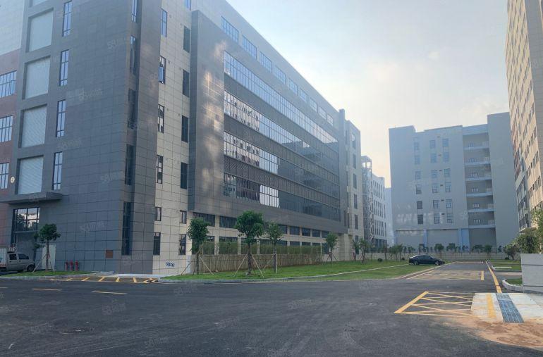 东莞市清溪镇铁松村原房东国有红本花园式标准厂房出租