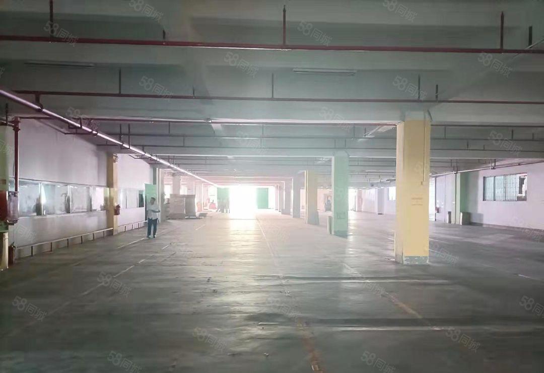 清溪镇新出物流仓7000平方出租，专用卸货平台，交通便利。