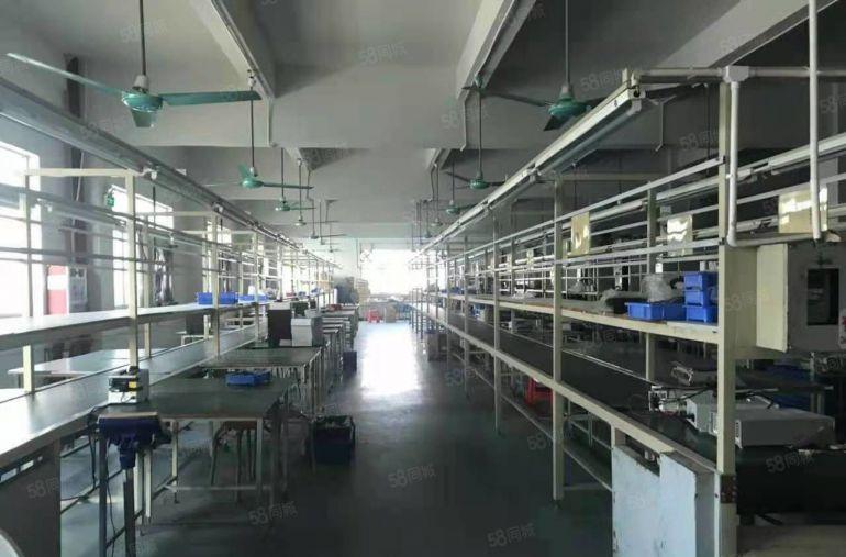 笋盘！清溪三中标准厂房楼上2000平带装修厂房仓库出租