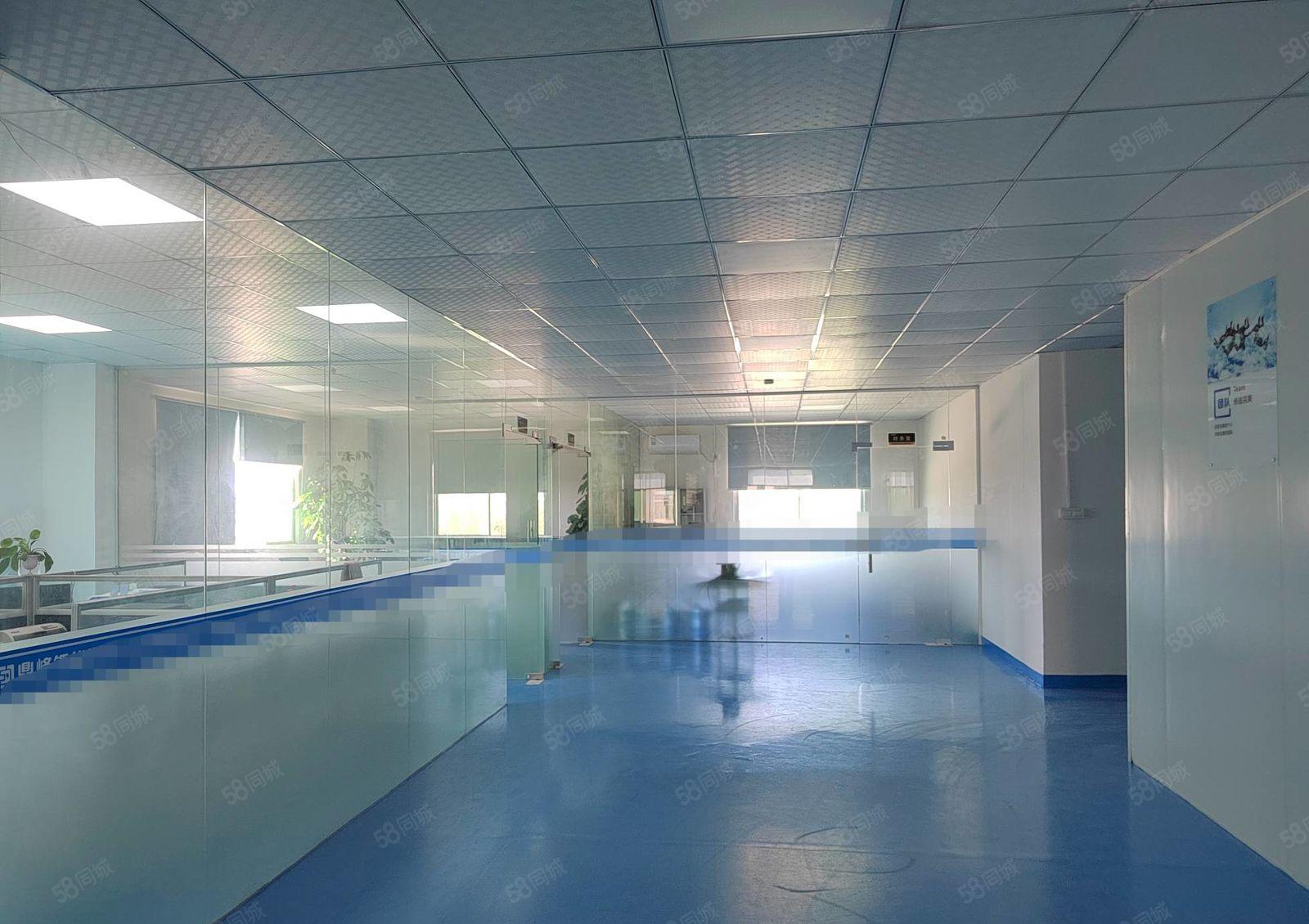 主打电池行业 保驾护航 清溪镇三中村 厂房二楼984平