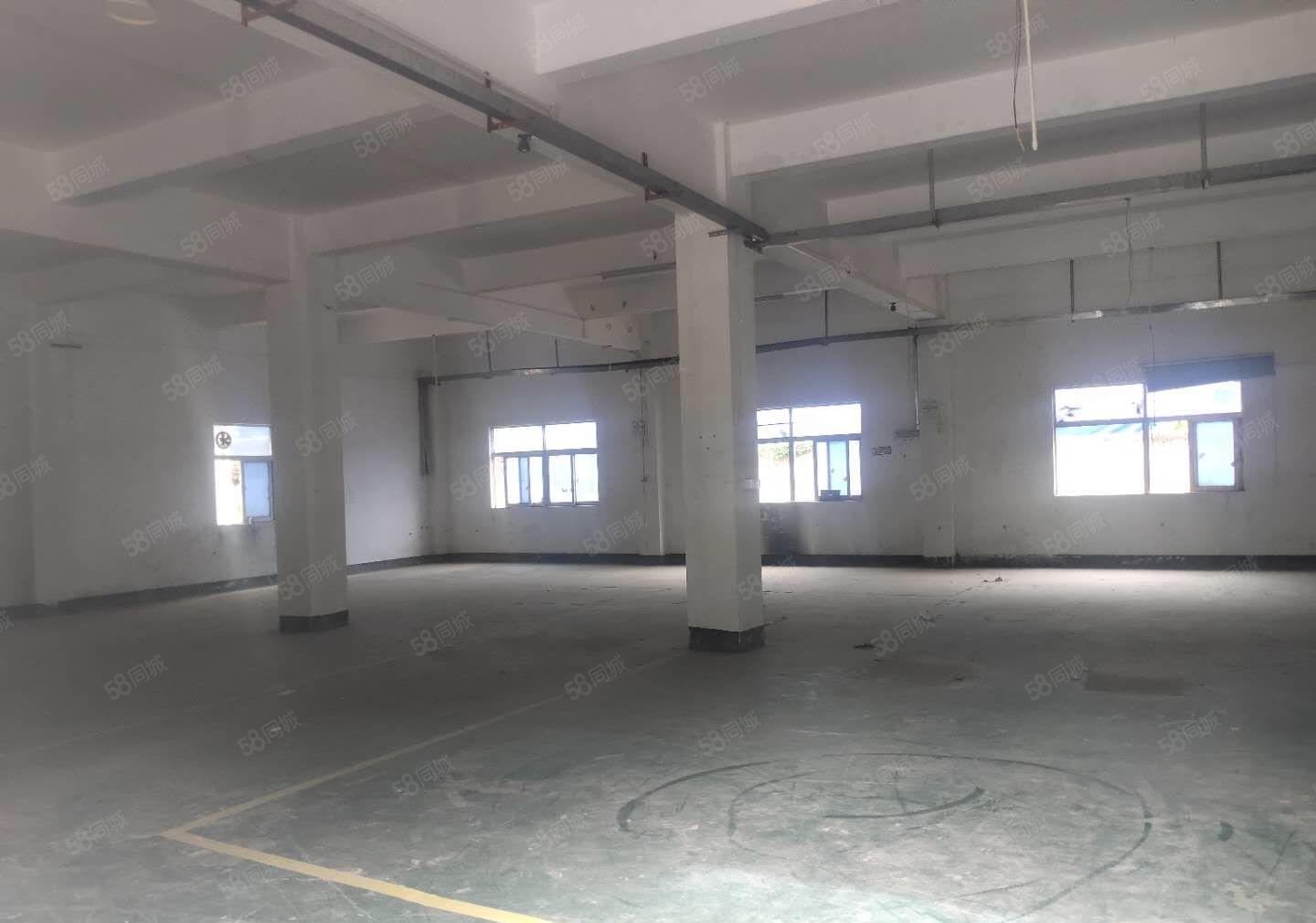 清溪大利银湖工业区附近新空一楼300平方原房东厂房出租