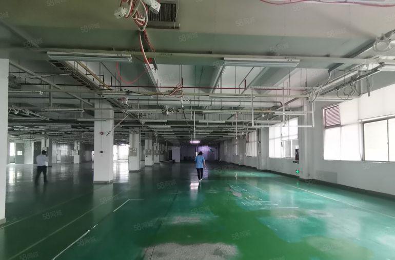 10起租清溪三中工业区厂房出租楼上500平起租厂房招租可分租