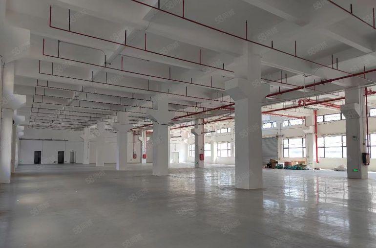 清溪三中标准一楼6.5米高2500平带牛角空地大厂房仓库出租