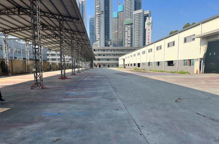 清溪三中新出原房东钢结构2200平方厂房出租滴水9米中间无柱