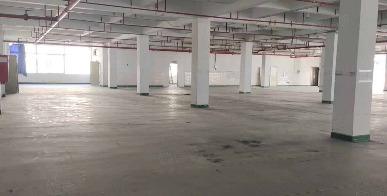 清溪上元工业区原房东楼上1600平红本标准仓库厂房出租可分租