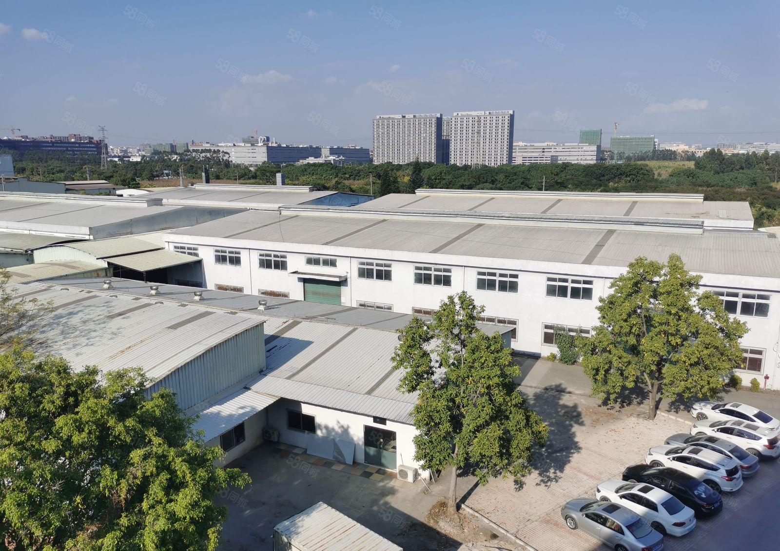 横沥镇新出钢结构单一层厂房出租四面环山无居民可做噪音粉尘