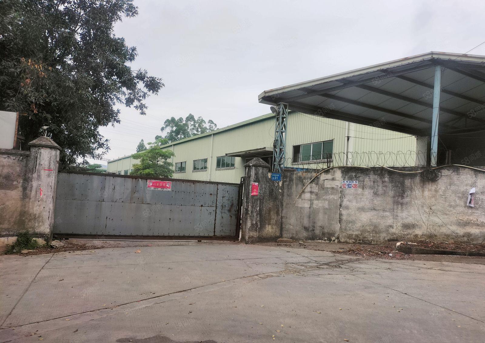 东莞横沥镇原房东经典小独门独院单一层厂房出租