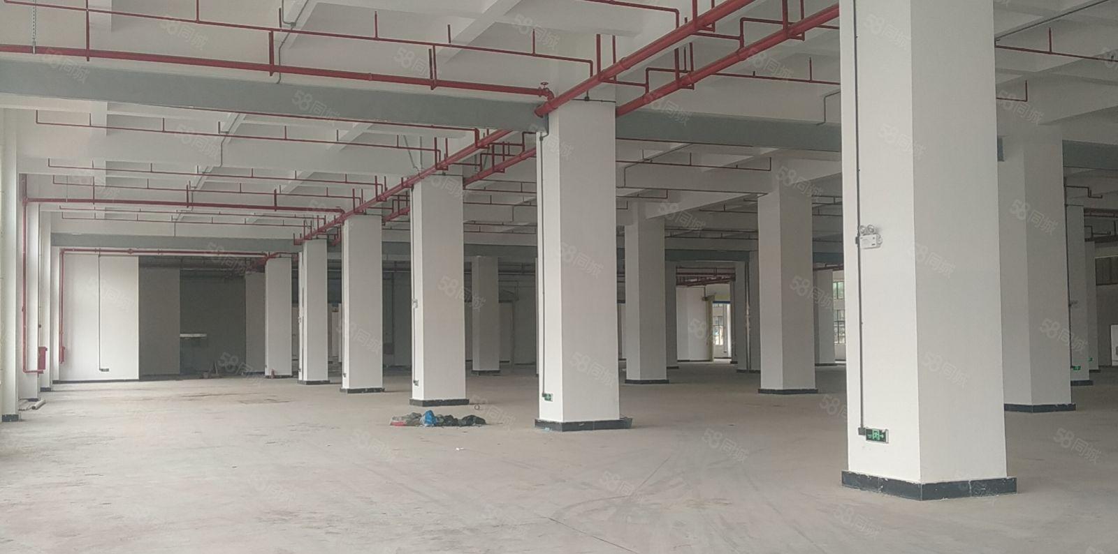 横沥镇三江工业区旁边新建标准厂房出租，喷淋消防，空地超大！