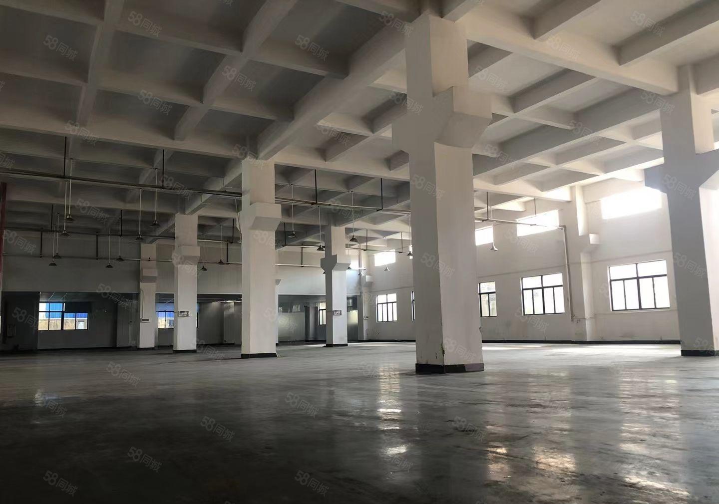 10元起原房东红本全新厂房1万平无公摊橫沥企石一楼仓库出租