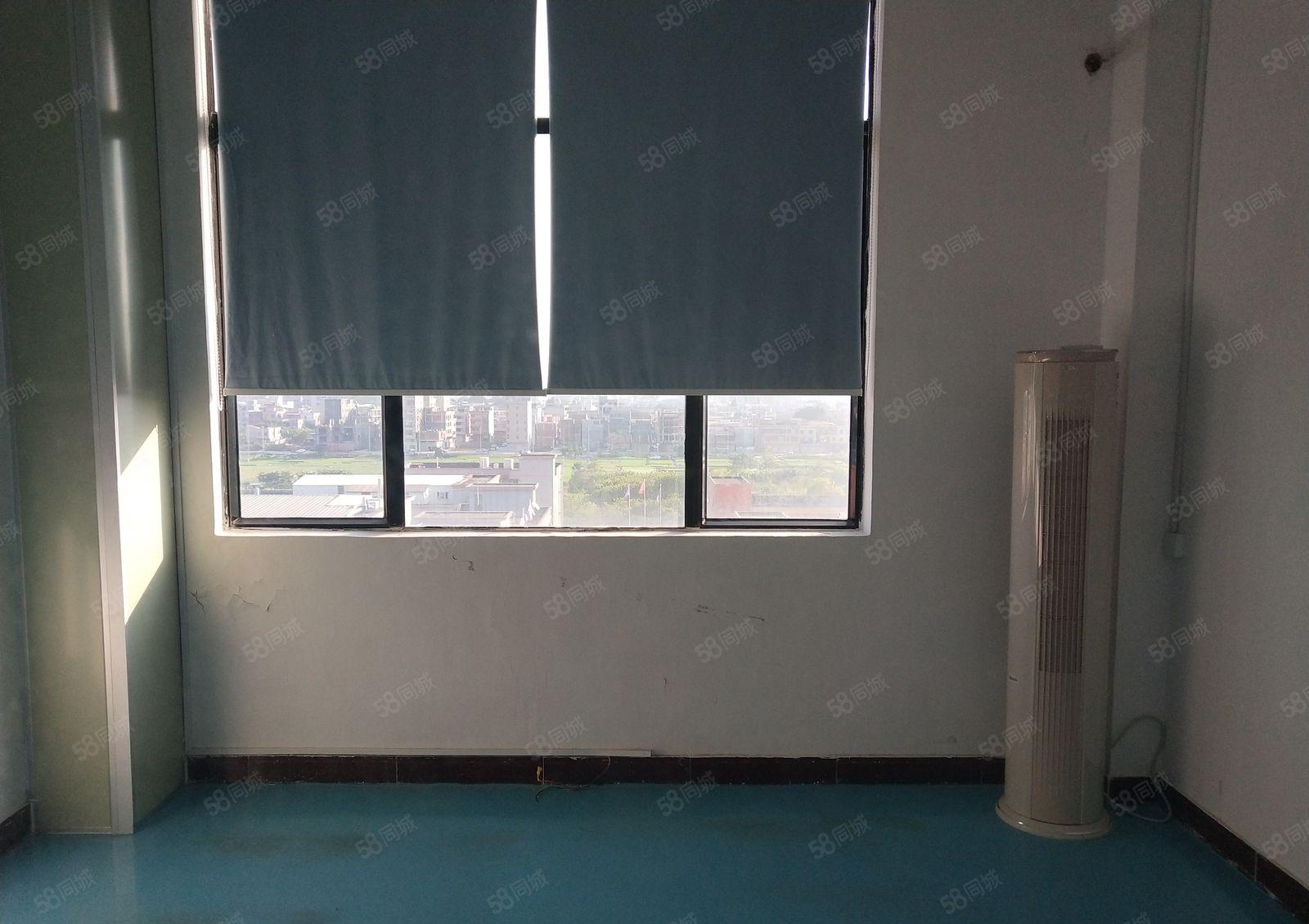 横沥镇独院标准厂房形象佳好办环评村委厂房20000平实际面积