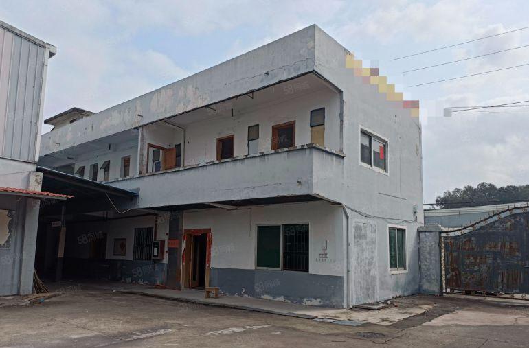 横沥镇原房东独门独院单一层钢构低价出租水电齐全交通方便