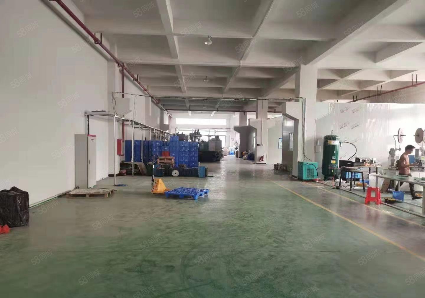 横沥镇山厦工业区标准厂房一楼1800平方，高度6.8米带牛角