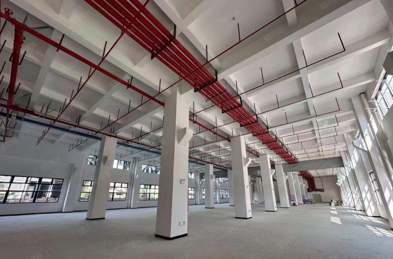 横沥镇原房东标准独院，空地大，形像好重工业厂房出租