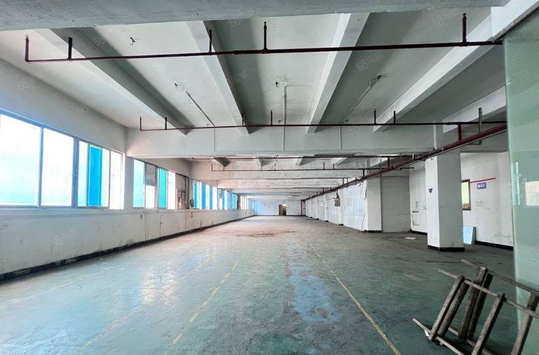 在横沥10块租厂房 电梯1300平 独院标准 大马路边工业区