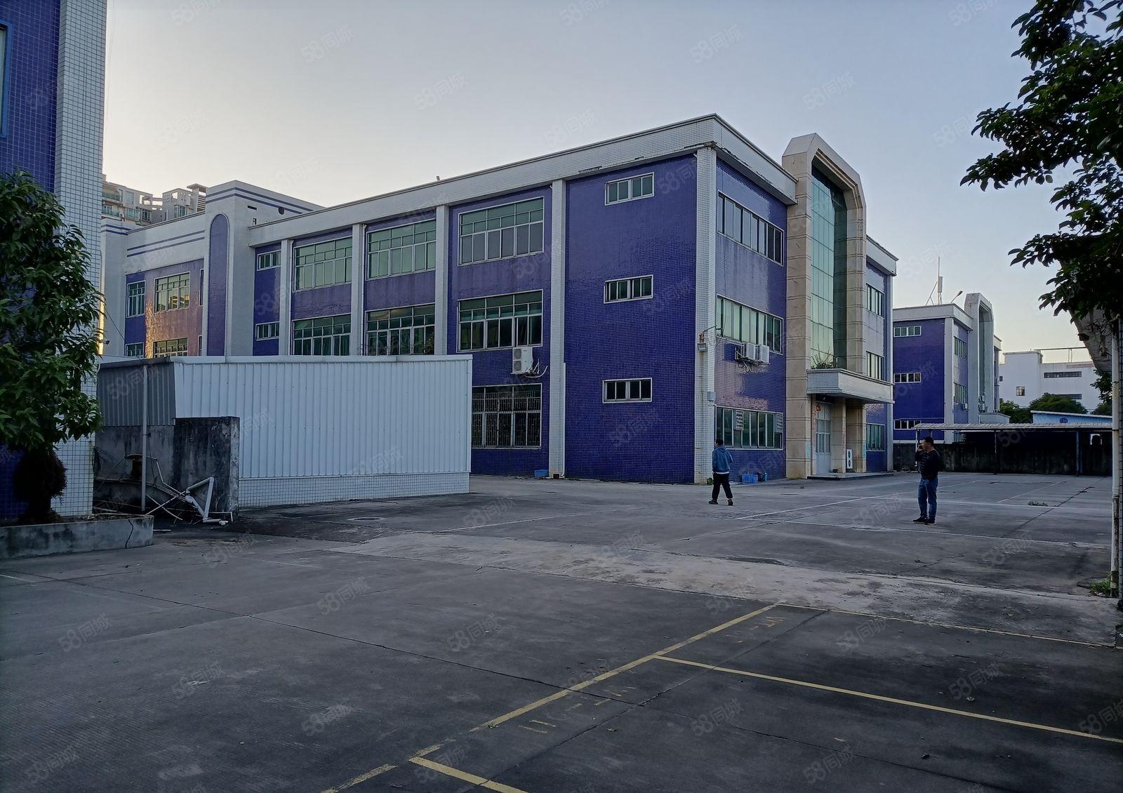 横沥镇新出原房东经典独院厂房出租上市公司形象现成办公室