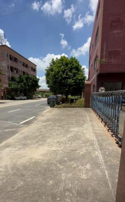 横沥新城原房东独院5000平方，首层5米，水电过户