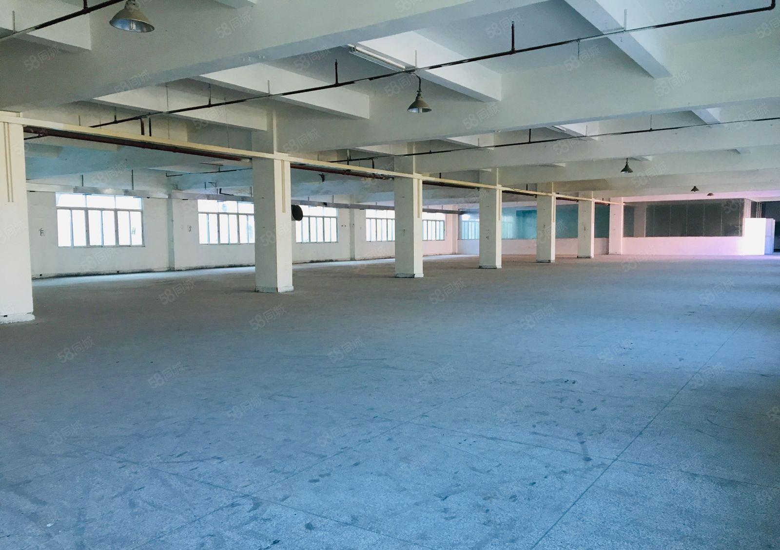 A栋厂房分租 一楼加铁皮1850平方米，报23元每平方米