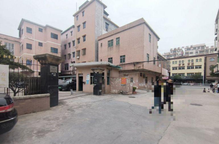 横沥镇经典独院标准厂房1200平方低价出租带现成办公室