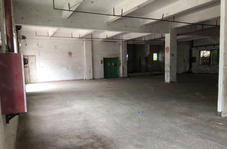 横沥原房东标准厂房独院低价出租