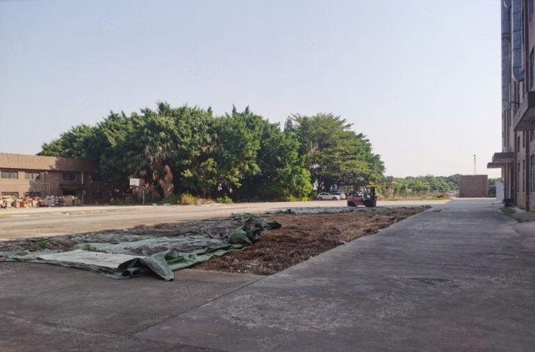 横沥原房东标准独院15000平空地大厂房出租租金13可办环评