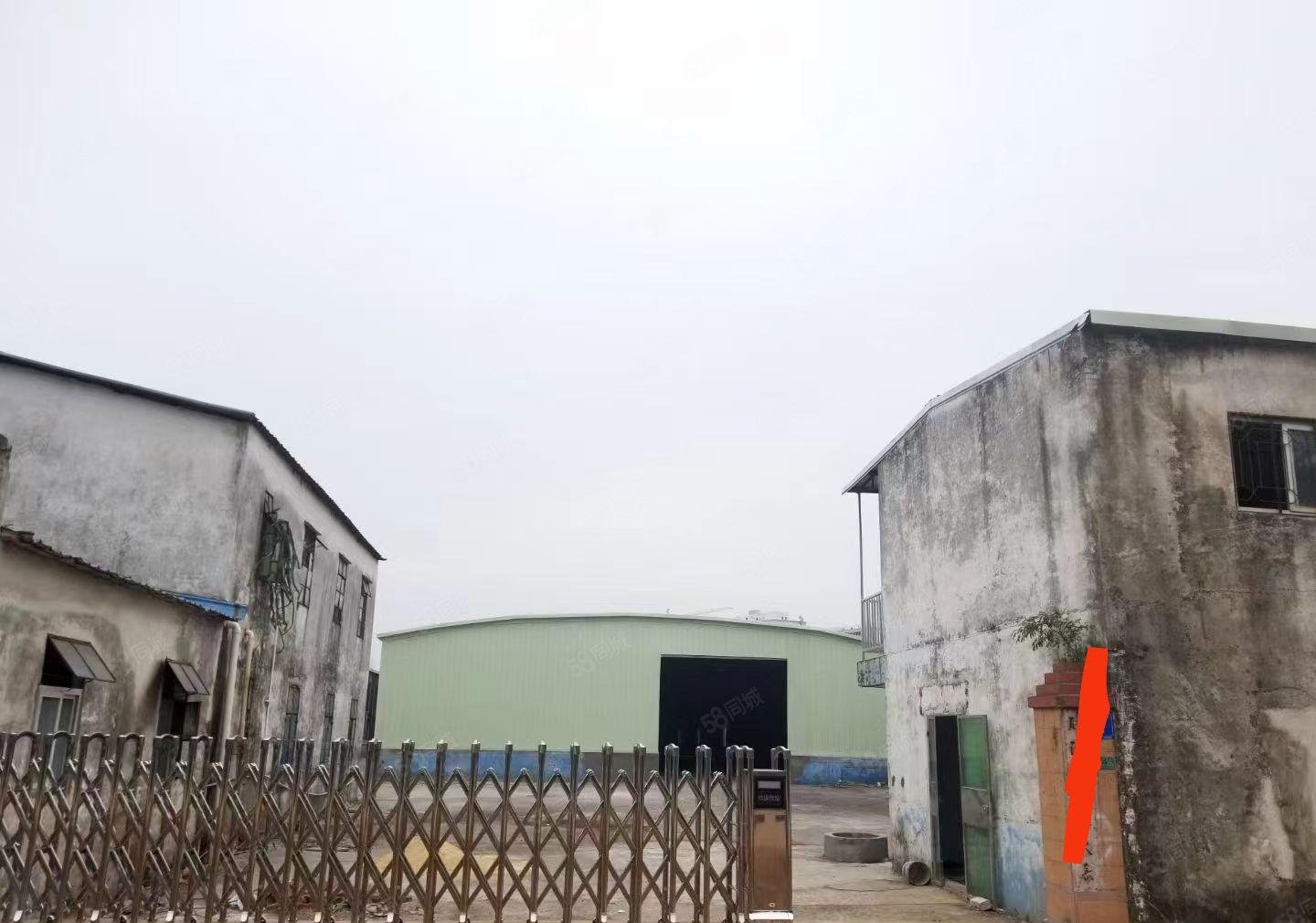 原房东独门独院单一层7米高度出租污染行业2300平电自交