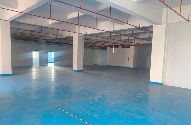 横沥镇西城工业区精装修楼上厂房出租