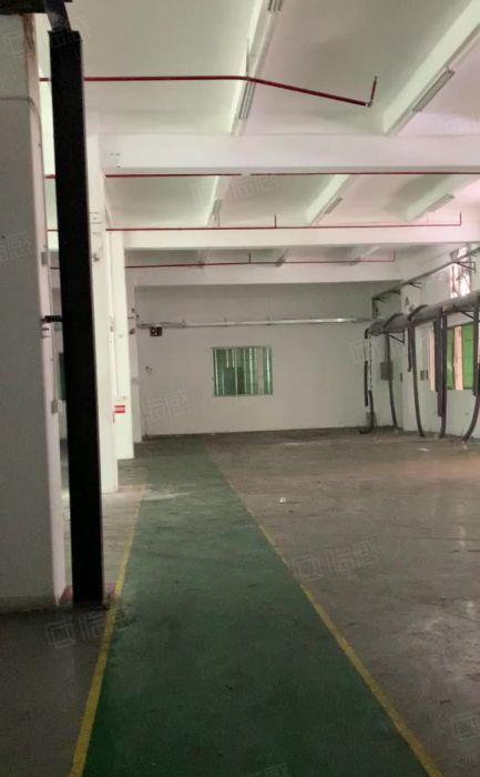 横沥镇原房东标准一楼5,5米高1000平厂房出租，有现成环评