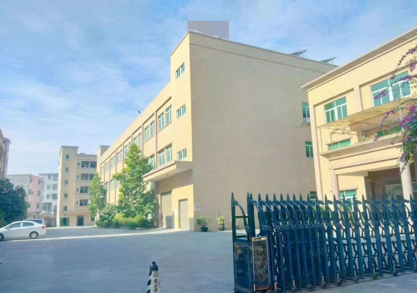 横沥镇厂房出租1000平方带现成装修高6米可办环评空地超大