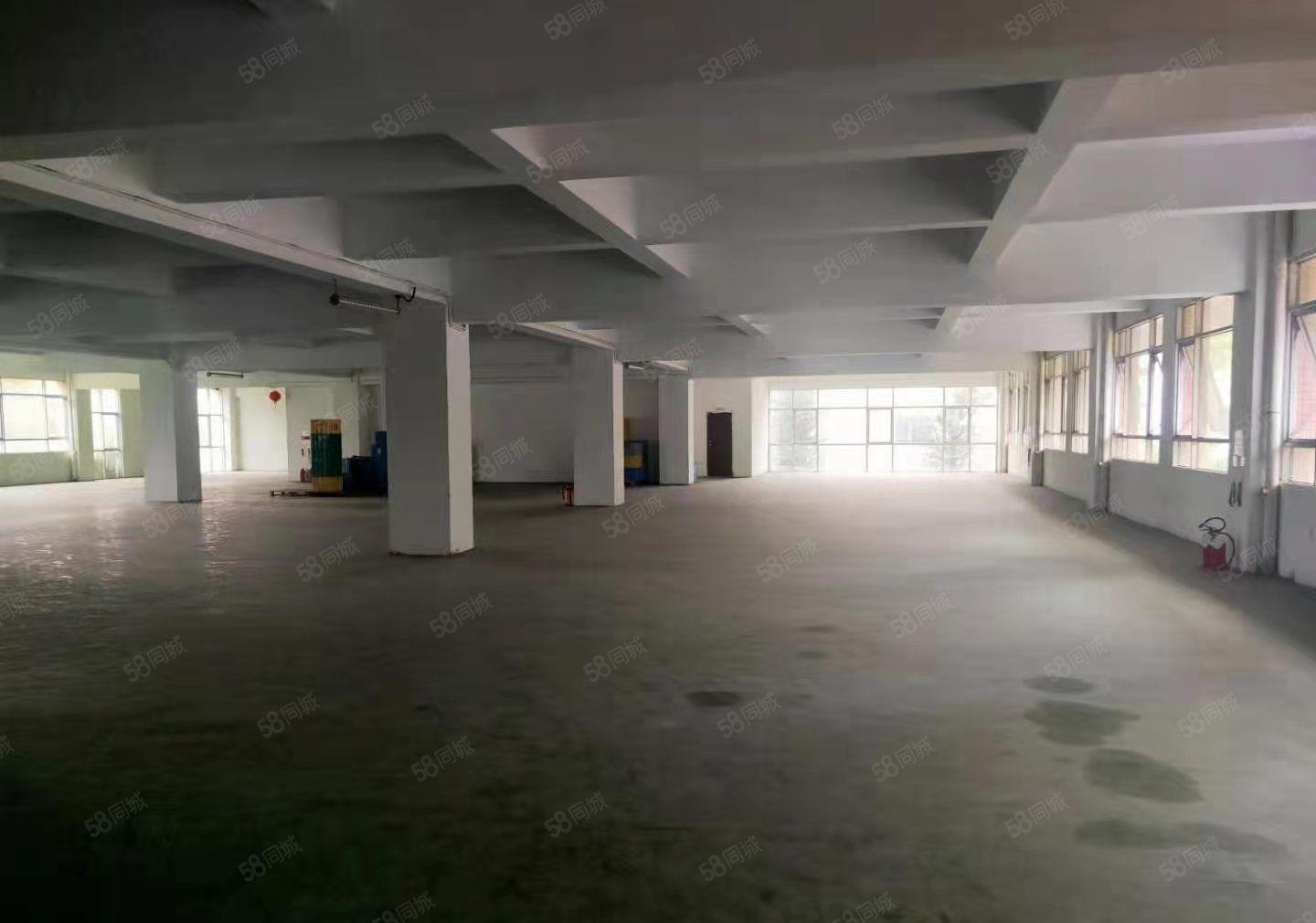 现成行车，石排标准厂房10000方出租，现成办公室，位置好！