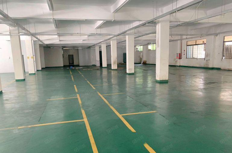 横沥镇石涌工业区独院厂房分租带地坪漆一楼厂房