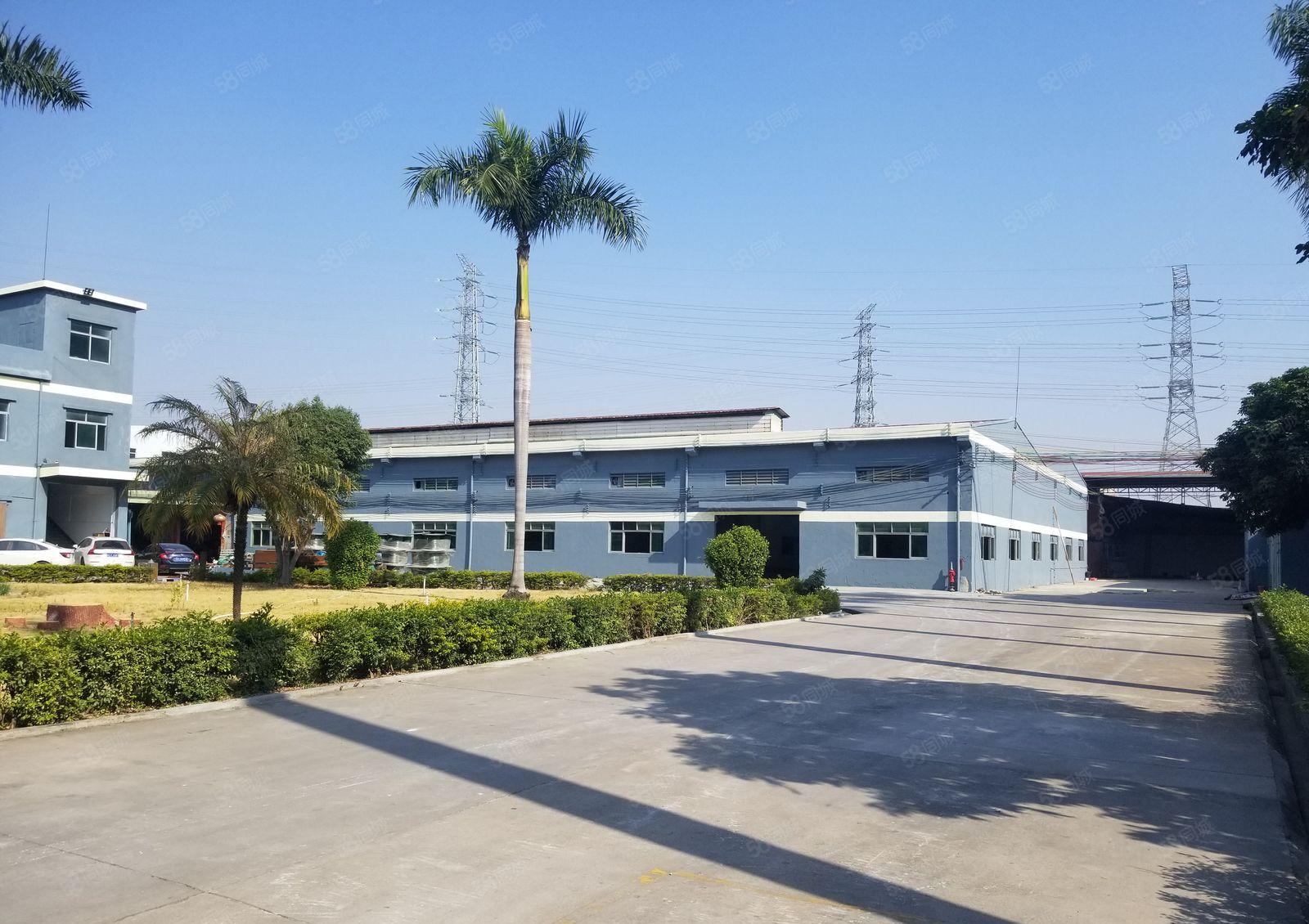 横沥镇花园式厂房出租4800平方独门独院砖墙钢构厂房