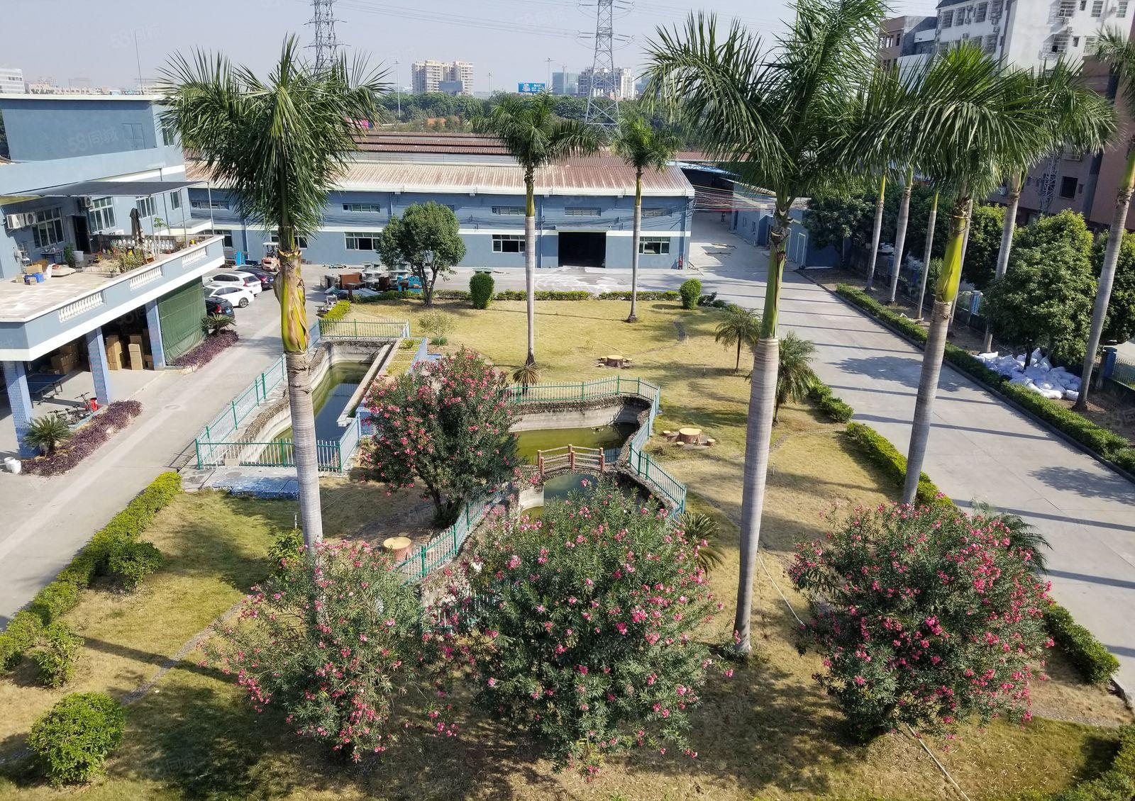 横沥镇花园式厂房出租4800平方独门独院砖墙钢构厂房