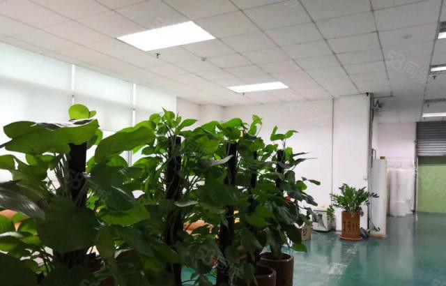 报价10元 横沥三江工业区二楼680平方厂房 现成装修