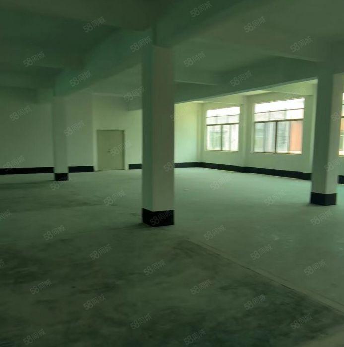 横沥独栋厂房低价出租