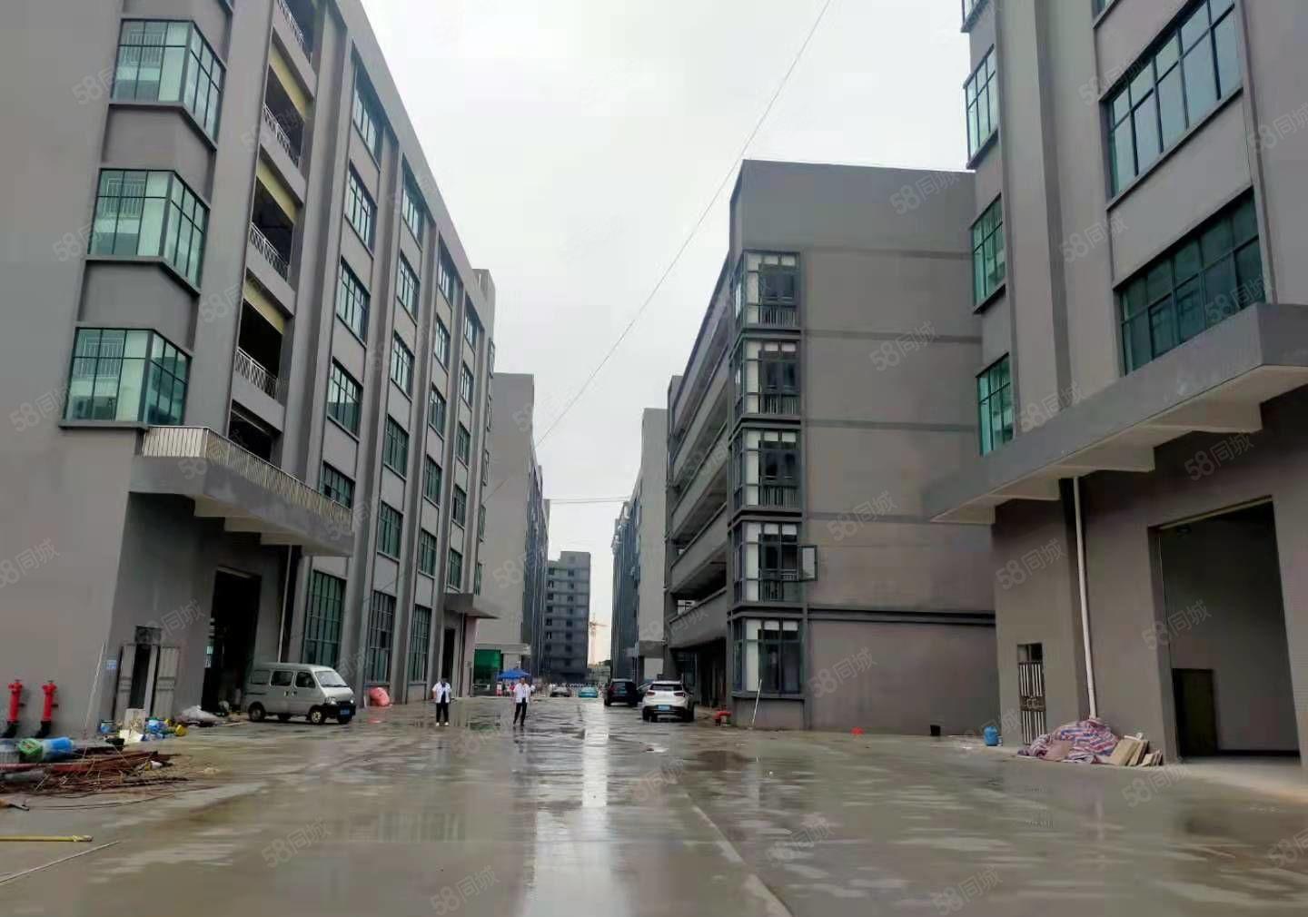 横沥镇三江工业区旁边新建标准厂房出租，喷淋消防，空地超大！