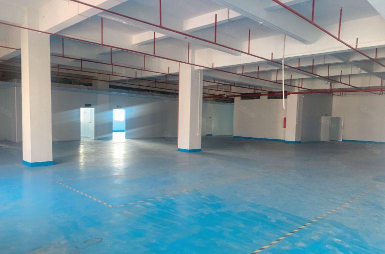 横沥镇西城工业区精装修楼上厂房出租