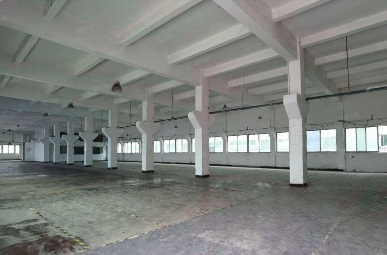 横沥镇新出原房东独门独院厂房出租