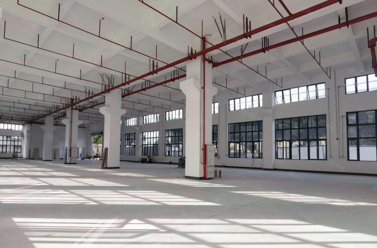 横沥12000平原房东国有双证红本全新重工业标准独院厂房出租