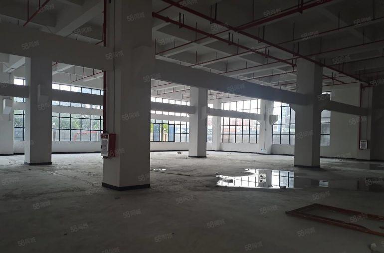 东莞横沥田头全新红本厂房低价出租