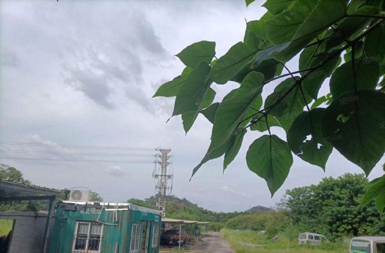 横沥镇13000平方空地出租，可做网红打卡地，堆放等行业