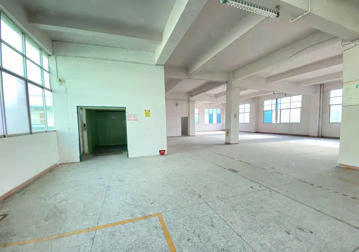 横沥镇国有红本独院厂房6200平米花园式厂房，工业用地可环评