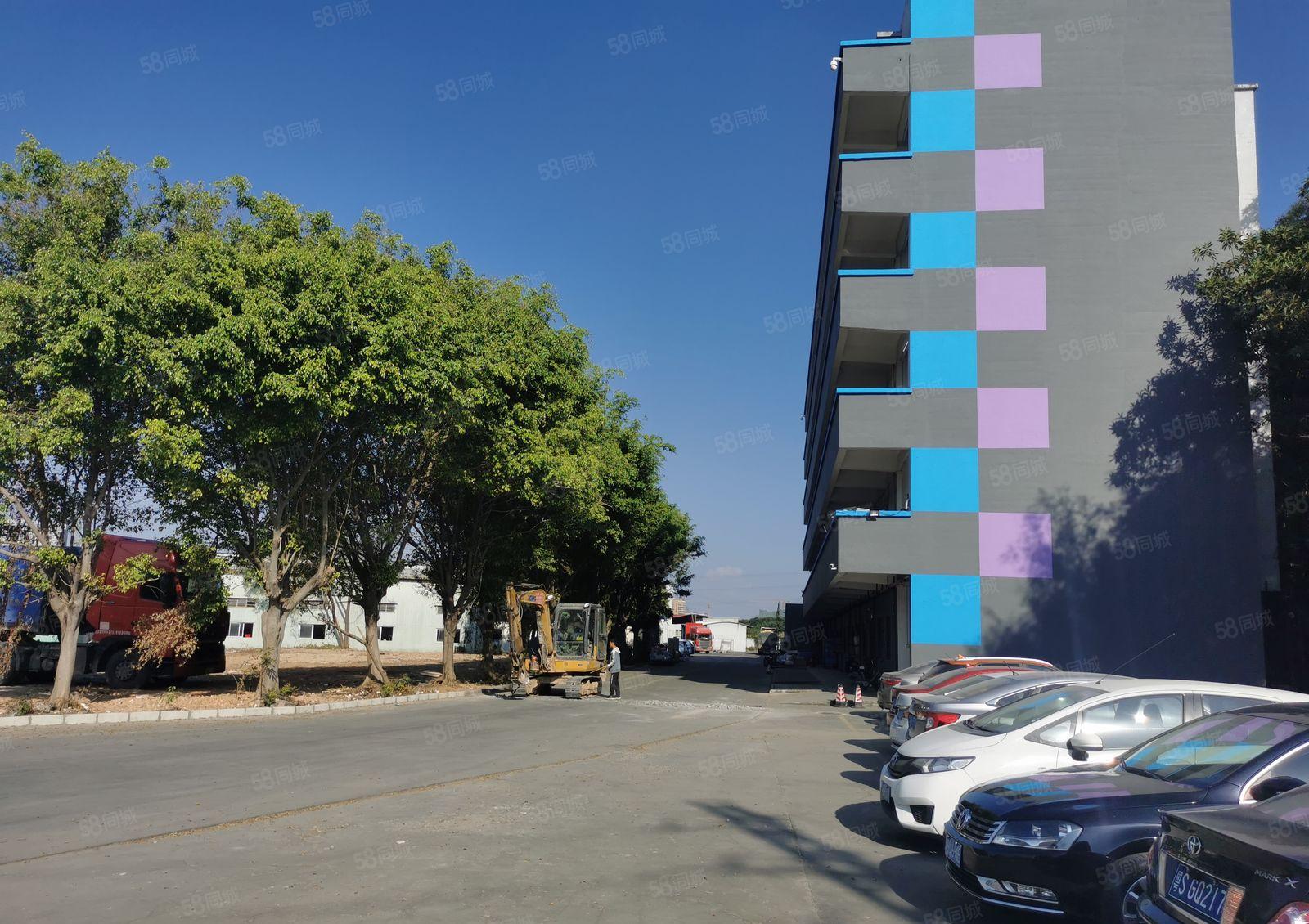 横沥镇新出钢结构单一层厂房出租四面环山无居民可做噪音粉尘