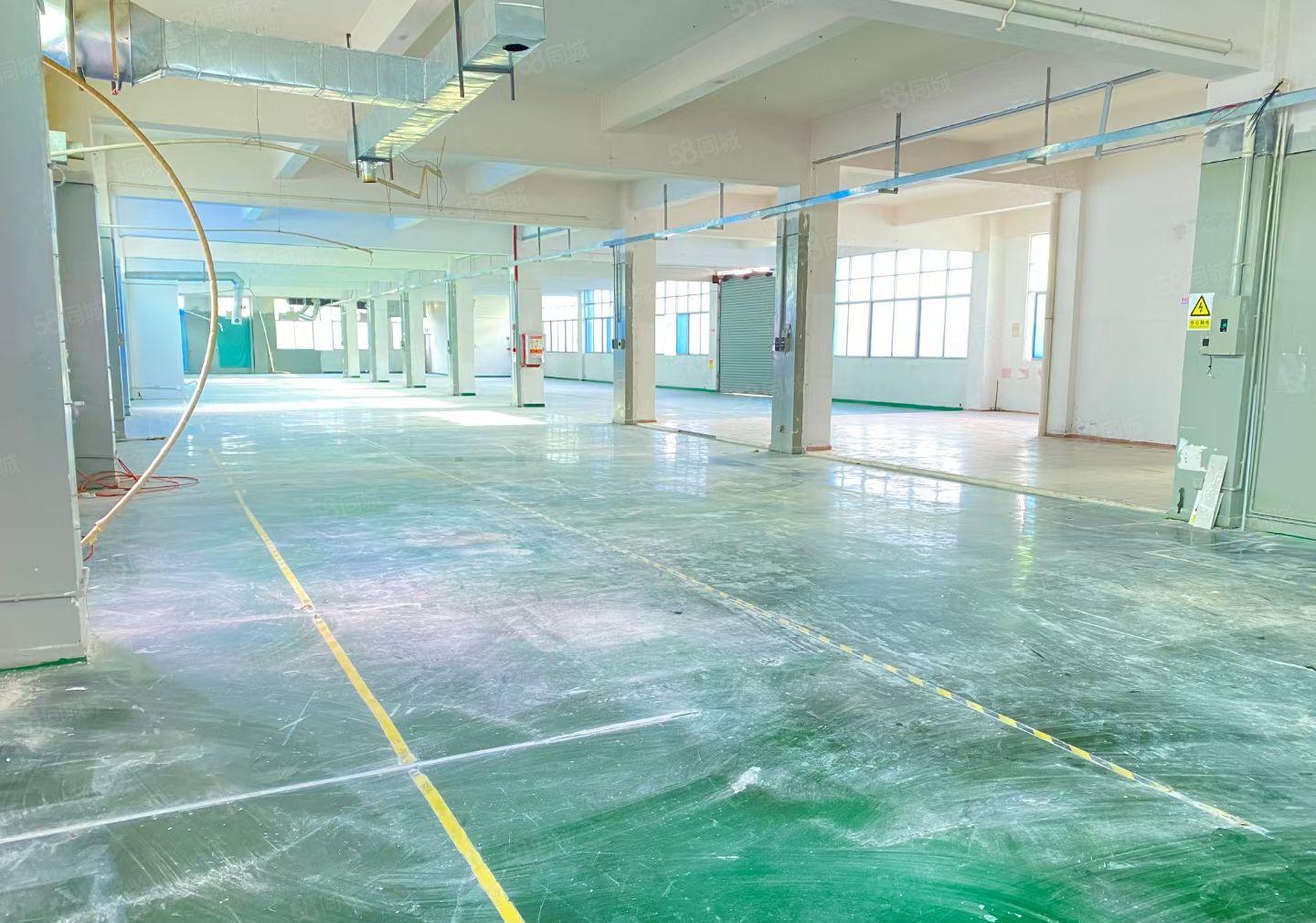 横沥镇新空出9成新花园式独门独院6200平方可办环评